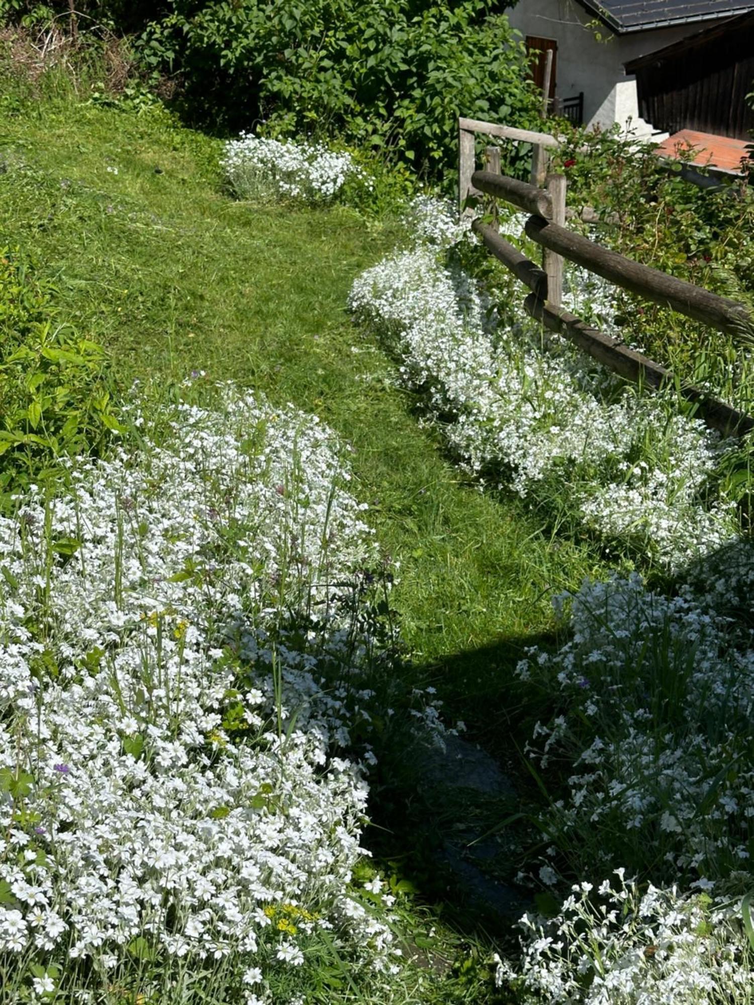 Huguette Studio 18M2 Courchevel Exteriör bild